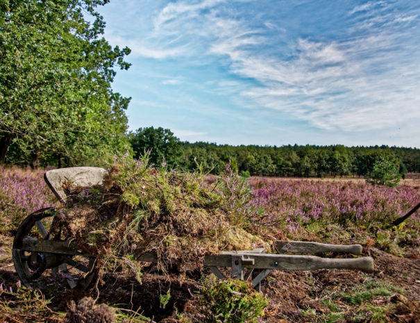 Heide-Karren