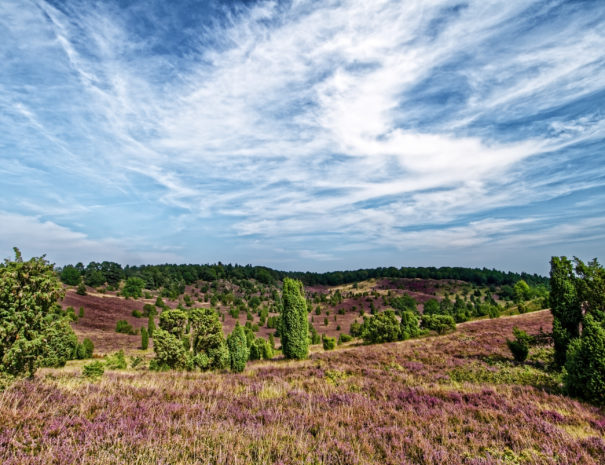 Heide-Totengrund